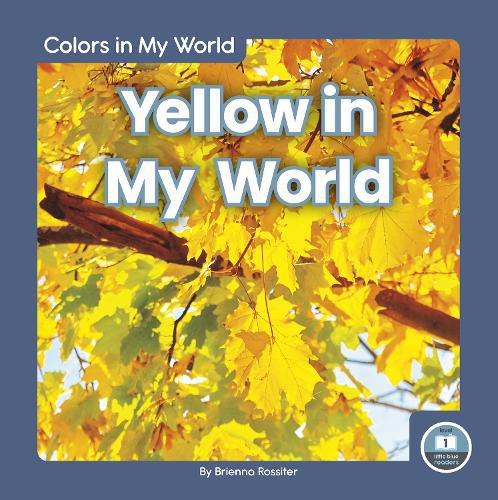 Cover image for Colors in My World: Yellow in My World