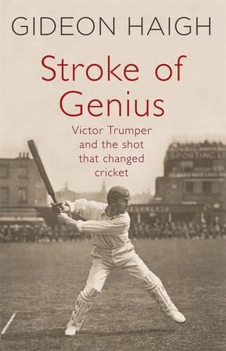 Cover image for Stroke of Genius