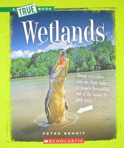 Cover image for Wetlands