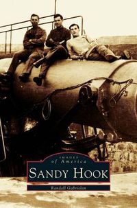 Cover image for Sandy Hook