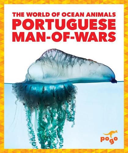 Cover image for Portuguese Man-Of-Wars