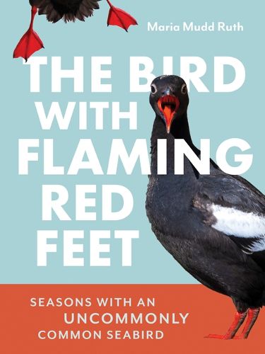 Cover image for The Bird with Flaming Red Feet
