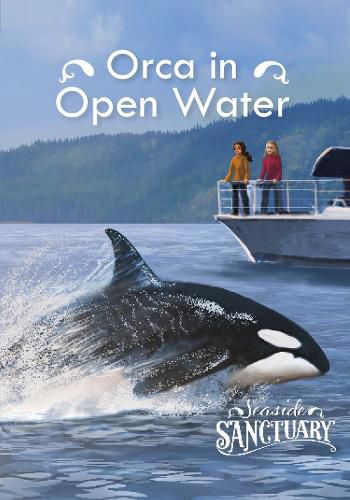 Orca in Open Water