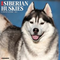 Cover image for Just Siberian Huskies 2025 12 X 12 Wall Calendar