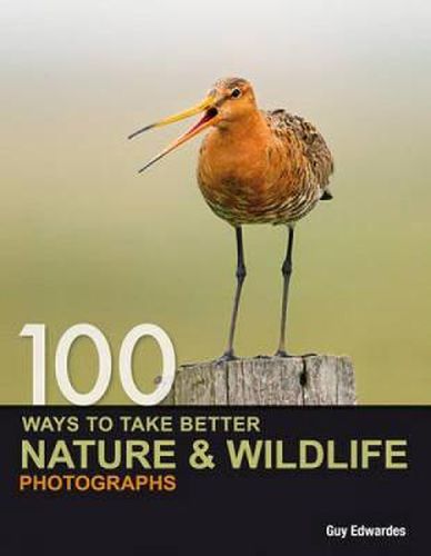 Cover image for 100 Ways to Take Better Nature & Wildlife Photographs