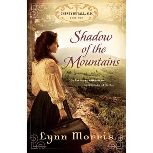 Cover image for Shadow of the Mountains