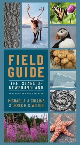 Cover image for Field Guide to Newfoundland and Labrador