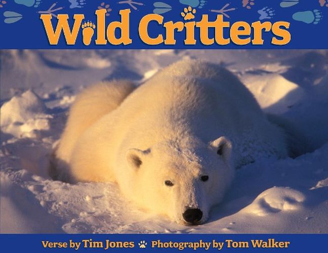 Cover image for Wild Critters