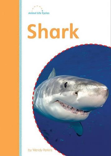 Cover image for Shark