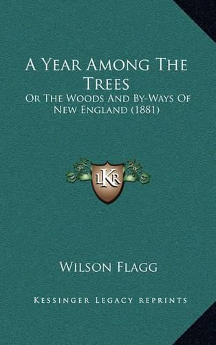 Cover image for A Year Among the Trees: Or the Woods and By-Ways of New England (1881)