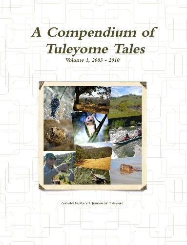 Cover image for A Compendium of Tuleyome Tales, Volume 1