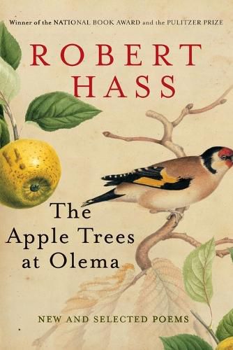 Cover image for The Apple Trees at Olema: New and Selected Poems