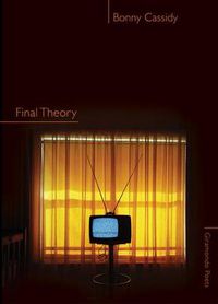 Cover image for Final Theory