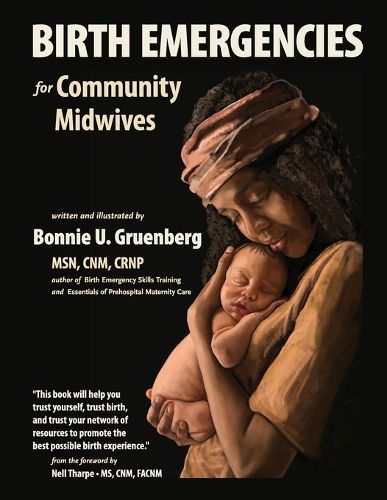 Cover image for Birth Emergencies for Community Midwives