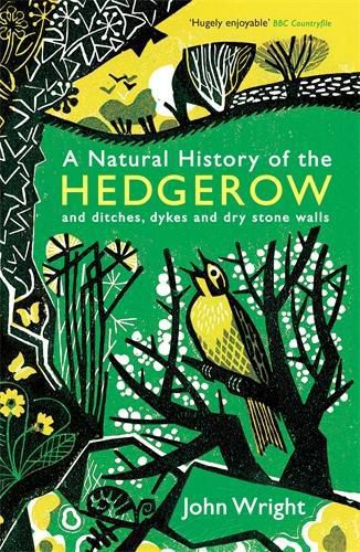 Cover image for A Natural History of the Hedgerow: and ditches, dykes and dry stone walls