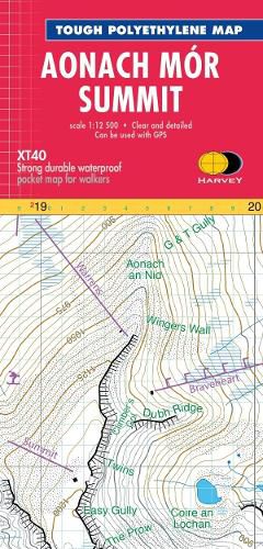 Cover image for Aonach MOR Summit Map