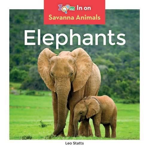 Cover image for Elephants