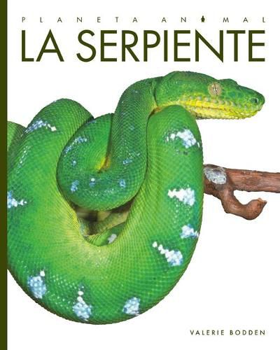 Cover image for La Serpiente