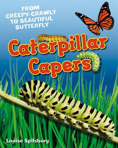 Caterpillar Capers: Age 5-6, above average readers