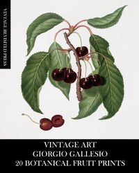 Cover image for Vintage Art: Giorgio Gallesio 20 Botanical Fruit Prints