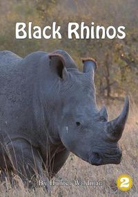 Cover image for Black Rhinos