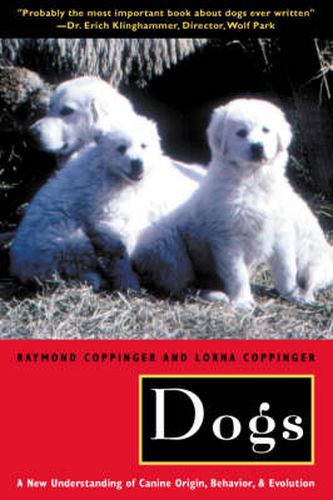 Cover image for Dogs: A New Understanding of Canine Origin, Behavior and Evolution