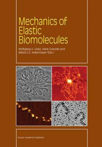 Cover image for Mechanics of Elastic Biomolecules