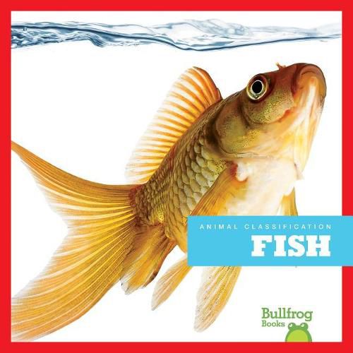 Cover image for Fish