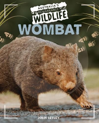 Cover image for Wombat