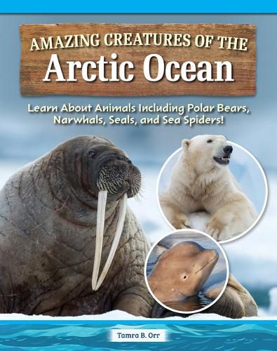 Cover image for Amazing Creatures of the Arctic Ocean