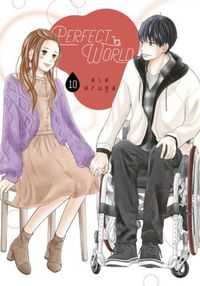 Cover image for Perfect World 10