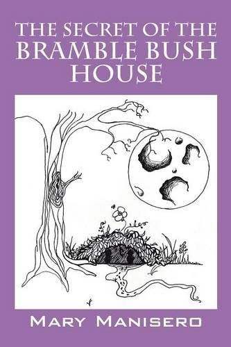 Cover image for The Secret of the Bramble Bush House