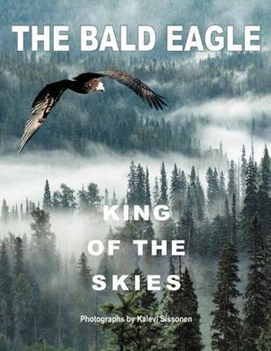 Cover image for The Bald Eagle: King of the Skies