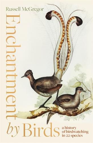 Cover image for Enchantment by Birds