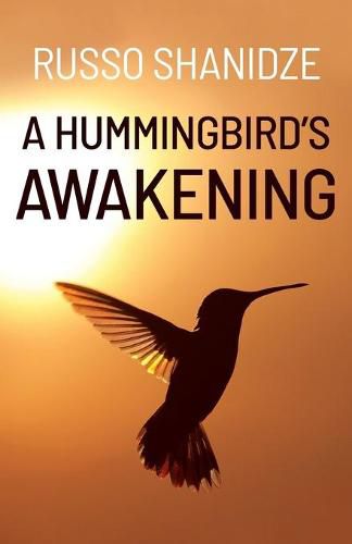 Cover image for A Hummingbird's Awakening
