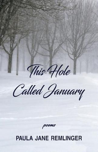 Cover image for This Hole Called January