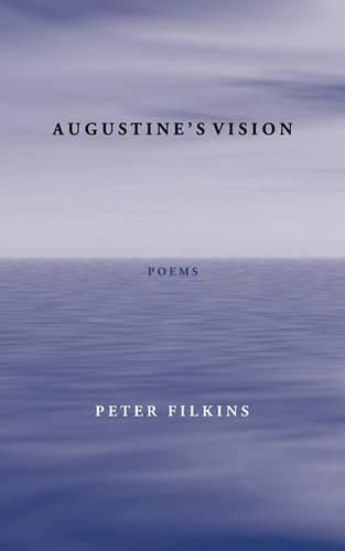 Cover image for Augustine's Vision