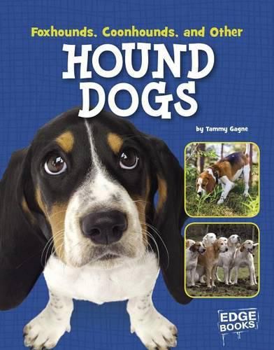 Foxhounds, Coonhounds, and Other Hound Dogs