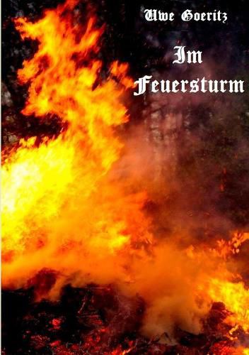 Cover image for Im Feuersturm: Grete Minde