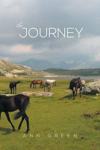 Cover image for The Journey