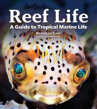 Cover image for Reef Life: A Guide to Tropical Marine Life