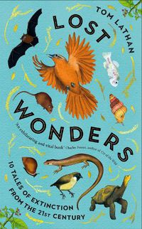 Cover image for Lost Wonders