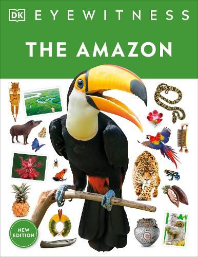 Cover image for The Amazon
