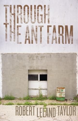 Cover image for Through the Ant Farm