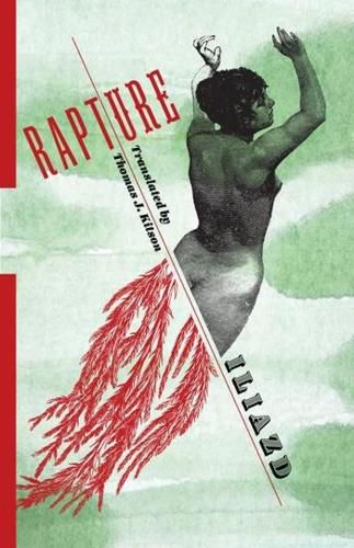 Cover image for Rapture: A Novel