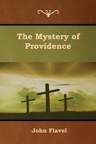 Cover image for The Mystery of Providence