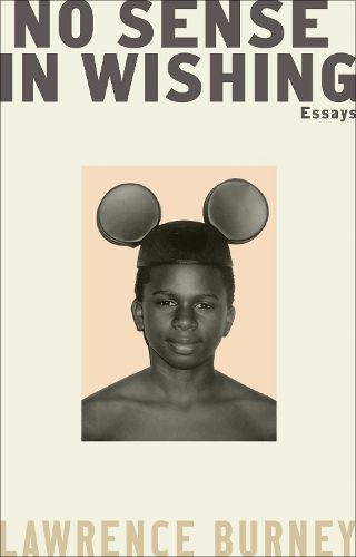 Cover image for No Sense in Wishing