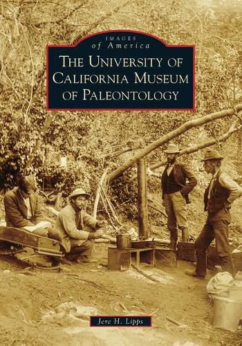 Cover image for The University of California Museum of Paleontology