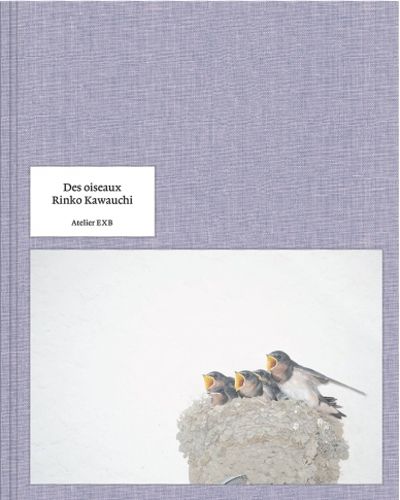 Cover image for Rinko Kawauchi - Des Oiseaux