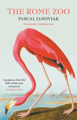 Cover image for The Rome Zoo